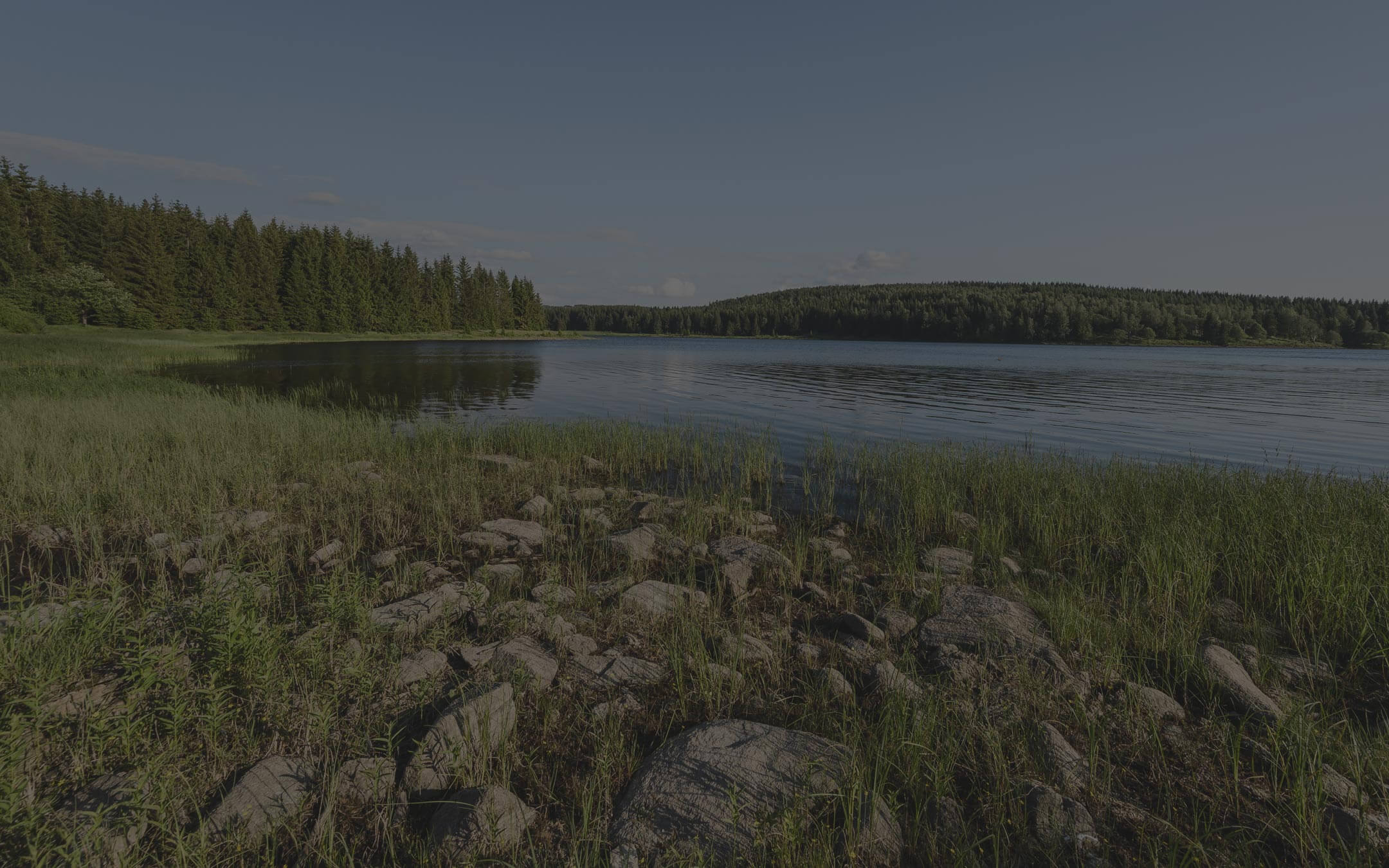 Poklady uprostřed pustiny